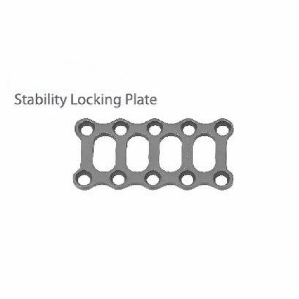 Stability Locking Plate